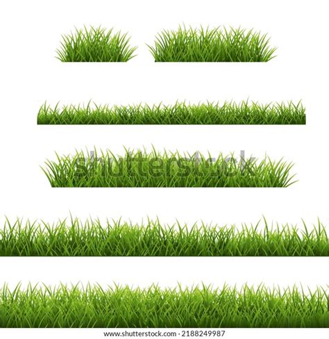 Grass Border Set Isolated White Background Stock Vector (Royalty Free) 2188249987 | Shutterstock