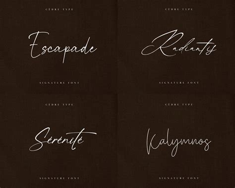 Signature Fonts Bundle 1, Handwritten Signature Font, Handwriting Procreate Fonts, Canva Fonts ...