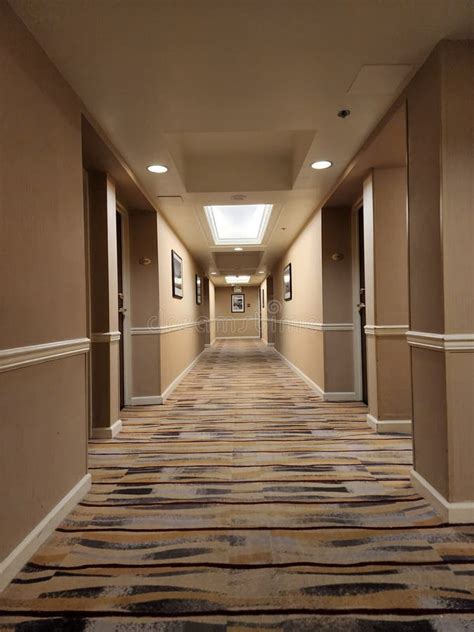 Empty Hotel Hallway at Night Stock Photo - Image of hallway, hall: 248751202