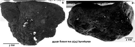 Hand samples of saprolite from below the water table (approximately 13... | Download Scientific ...