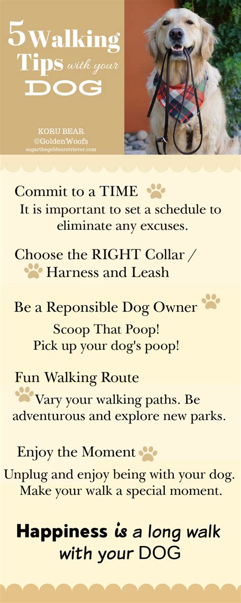 Walking Tips with your dog Infographic - Golden Woofs