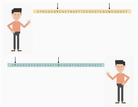 Do Identical Twins Have The Same DNA?