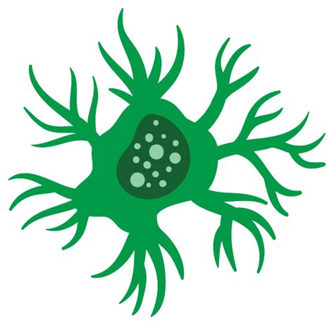 Neurona Png