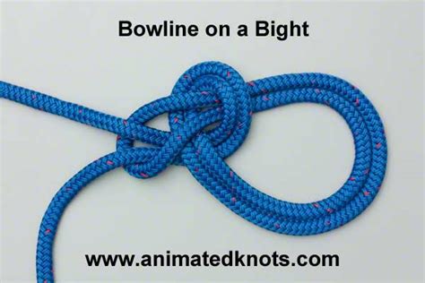 Bowline on a Bight in Knot List Life.