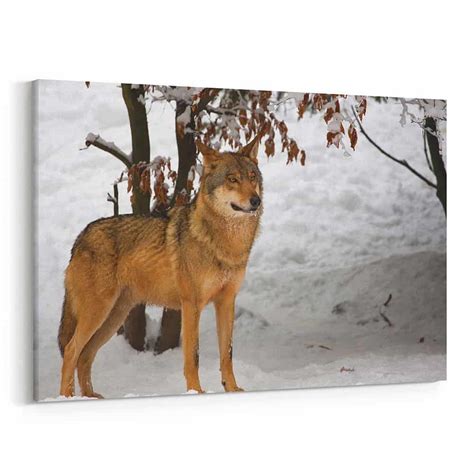 Wolf In The Winter Woods Canvas Wall Art | 365Canvas