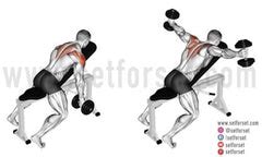 Cable Rear Delt Fly: How To, Muscles Worked, & Variations - SET FOR SET