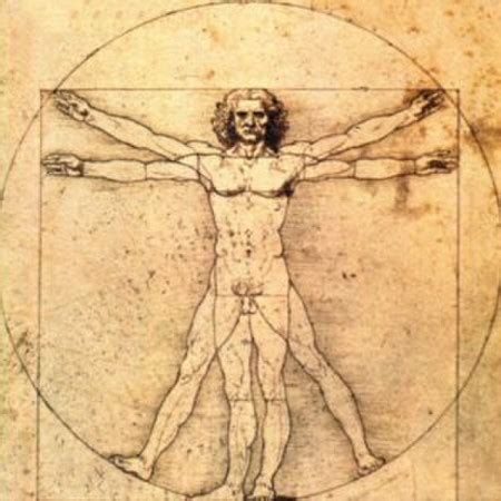 Vitruvian Man by Leonardo Da Vinci | Overview & Legacy - Lesson | Study.com