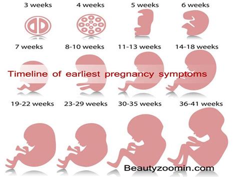 Earlier Pregnancy Symptoms Two Weeks | Johny Fit