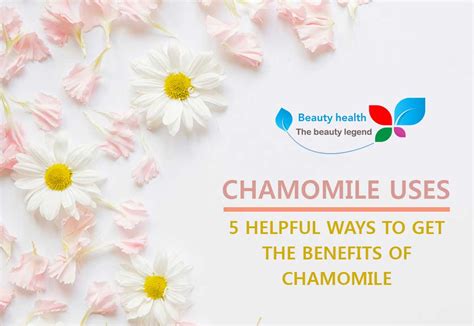 Chamomile Uses | 5 Helpful Ways To Get The Benefits