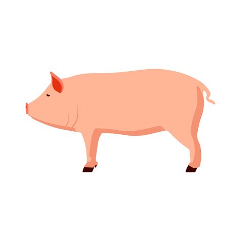 Animal pink pig vector illustration side view cartoon design. Cute art farm piglet graphic sign ...