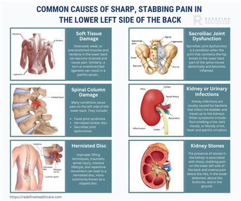 Sharp Stabbing Pain in the Lower Left Side of the Back - NJ's Top Orthopedic Spine & Pain ...