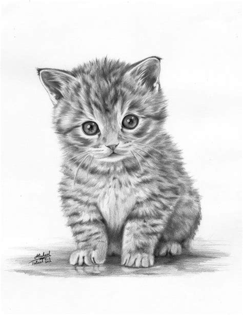 Cute Kitten Sketch at PaintingValley.com | Explore collection of Cute Kitten Sketch