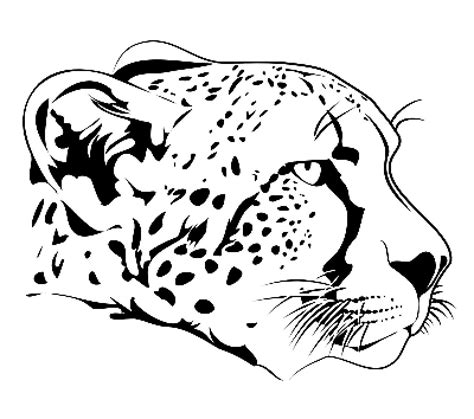 Simple Cheetah Face Coloring Pages