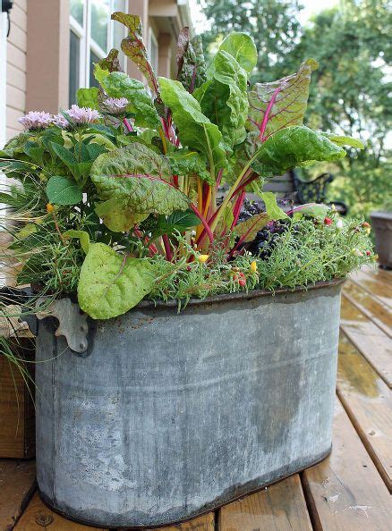 Container Garden Featuring Swiss Chard | Container gardening, Garden containers, Garden features