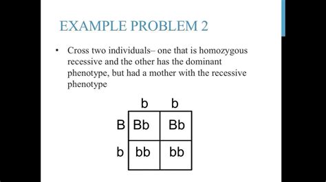 Punnett Square Examples