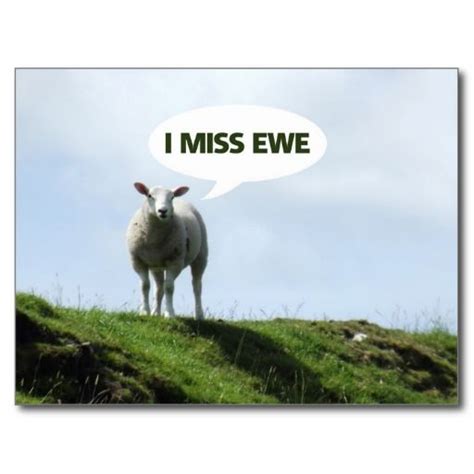 Funny Sheep Quotes - ShortQuotes.cc