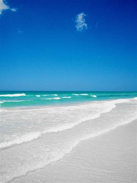 Siesta Key Resorts | Florida beaches, Sarasota beach, Siesta key beach