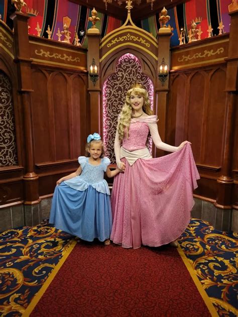 16 Best Places to Buy Disney Princess Dresses