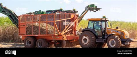 Machine harvesting sugar cane plantation Stock Photo - Alamy