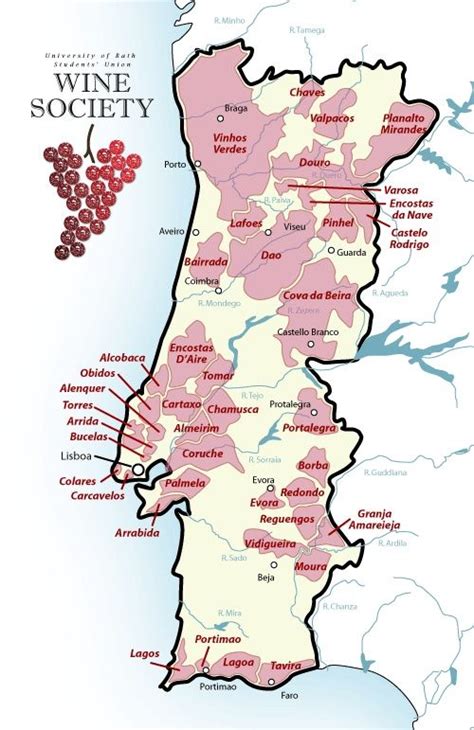 Wine Map of Portugal | Wine map, Chile wine, Wine guide