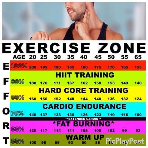 16+ Heart Rate Zones Chart Uk Background | Student Diagram Resources