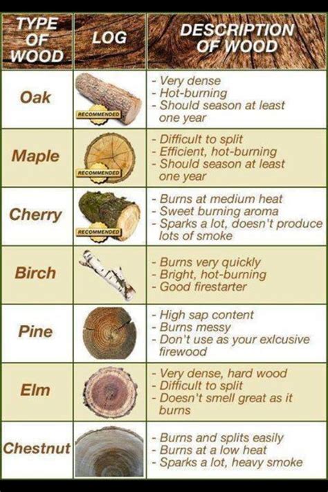 11 best images about Tree Identification on Pinterest | Trees, Activities and Leaves