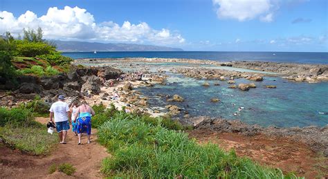 Snorkeling Sharks Cove Is Popular And Worth The Trip