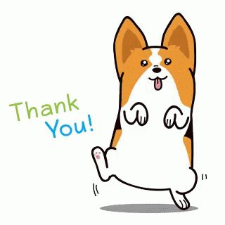 Thank You Corgi GIF - ThankYou Corgi Dog - Discover & Share GIFs