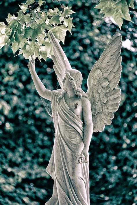 Reach Angel Statue Angel in the Sun Angel Wings Black and White Fine Art Print - Etsy