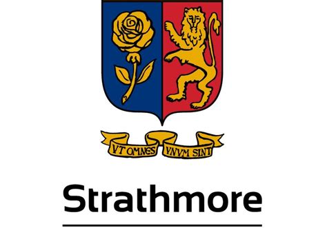 Strathmore University – VC4A