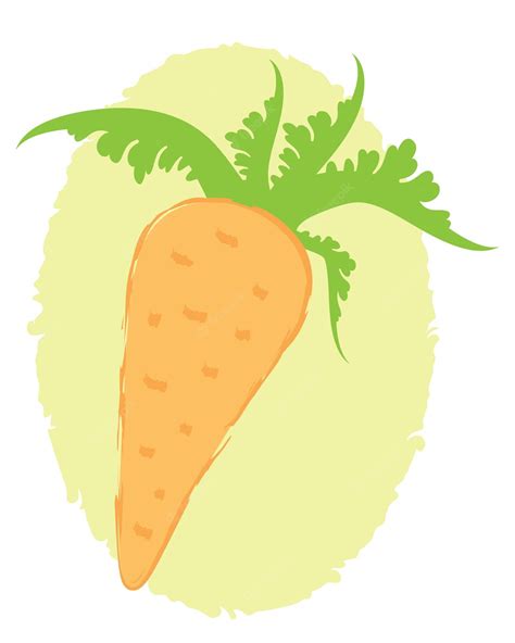 Premium Vector | Carrot on a green background