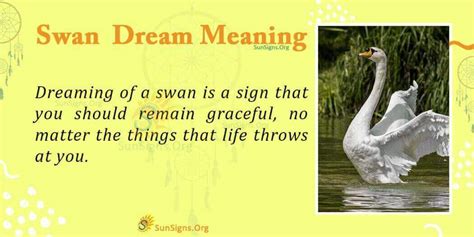 Seeing A Swan In Your Dream - Meaning, Interpretation and Symbolism - SunSigns.Org