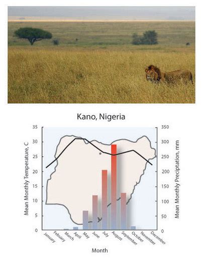 Grassland Climate - Grassland Biome