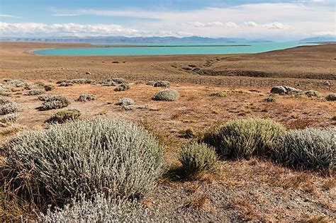 Where Does The Patagonian Desert Lie? - WorldAtlas