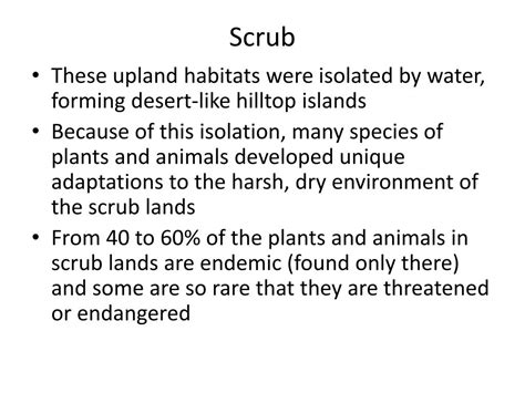 PPT - SCRUB Ecosystem PowerPoint Presentation, free download - ID:1957443