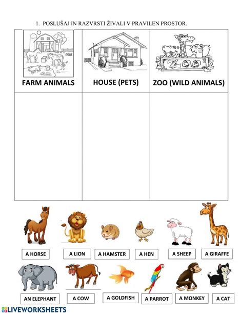 Types Of Animals Worksheet Kindergarten