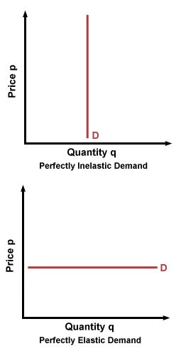 Elasticity: Elasticity | SparkNotes