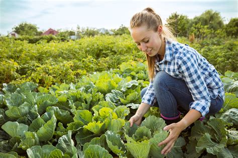 4 Tips For Eco-Friendly Gardening - The Zero Waste Family®