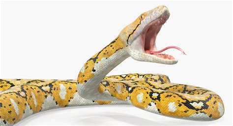 3D yellow python snake attack - TurboSquid 1412938