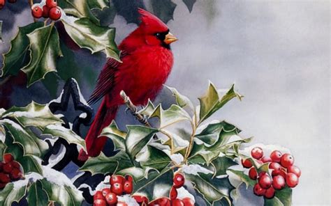 Winter Birds And Berries Wallpapers - Wallpaper Cave