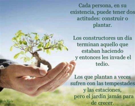 Frases alusivas al «Earth Day» Día de la Tierra en imágenes | Información imágenes