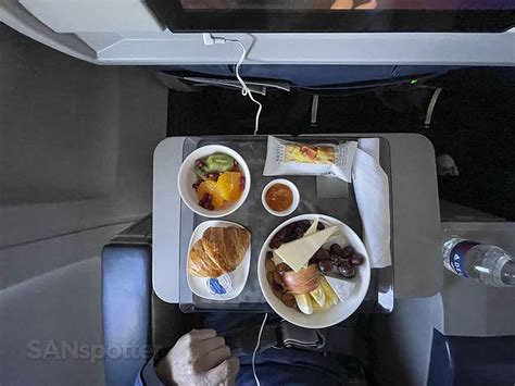 Delta 737-800 first class review (fantastic food in ordinary seats) – SANspotter