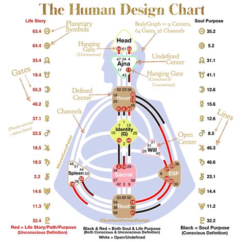 Free Human Design Chart Reading - Remotepc.com