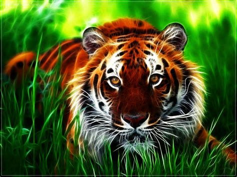 Tiger Desktop Wallpapers - Top Free Tiger Desktop Backgrounds - WallpaperAccess