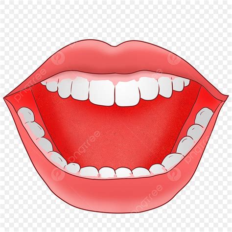 Mouth Teeth White Transparent, Cartoon Hand Drawn Open Mouth And White Teeth, Tongue Clipart ...