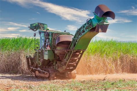 Premium Photo | Heavy machine harvesting sugar cane plantation