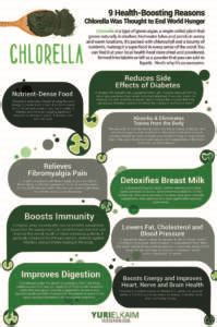 8 Benefits Of Spirulina & Chlorella - The Wellness Project