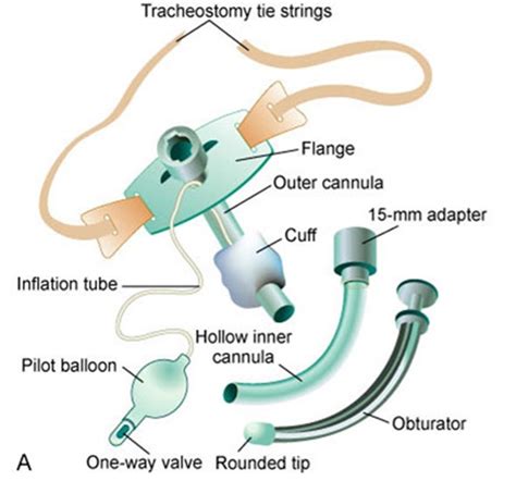 Perform Tracheostomy Care - Nurses Revision