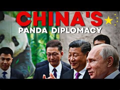 USA Wants War ? | China Wants Diplomacy | The CIty Of Diplomacy Chengdu : r/Sino