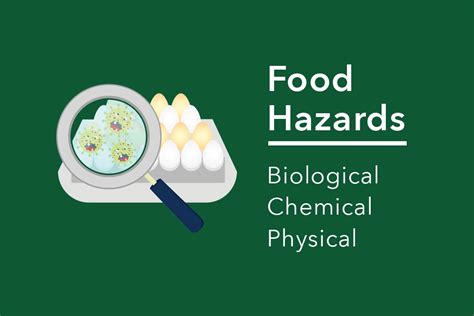 Food Hazards: Types, Examples, and More – FoodSafePal®